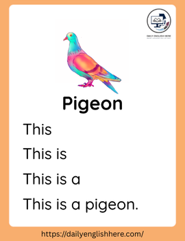 City Pigeon Stories for New Readers 1 141 1