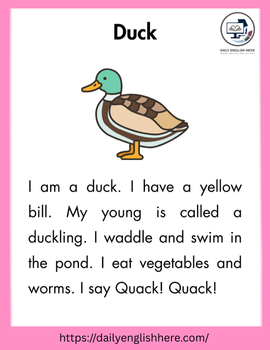 Quacking Duck Reading Story Perfect for Kids 1 27 1