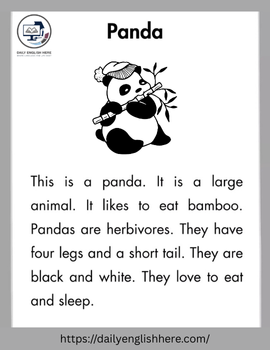 Cuddly Panda Reading Story for Young Learners 1 47