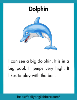 Smart Dolphin Reading Story That Amazes Kids 1 51