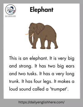 Big Elephant Reading Passage Kids Find Amazing 1 57