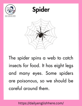 Tiny Spider Reading Story Kids Will Love 1 60