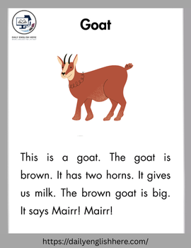 Playful Goat Reading Adventure for Beginners 1 61