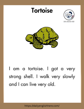 Tortoise Reading Fun for Beginning Readers 1 84